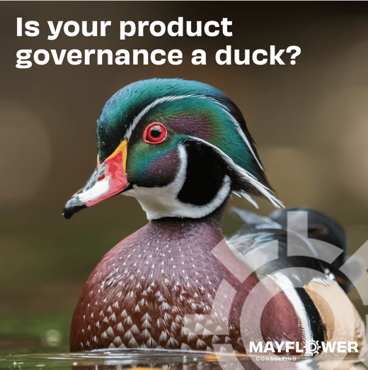 Product Governance