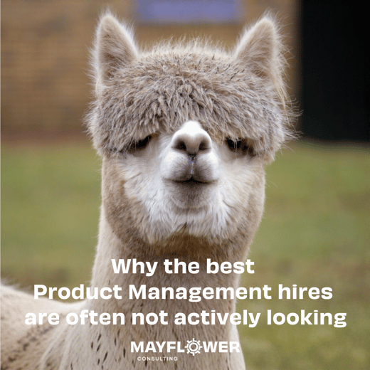 Product Management Hires
